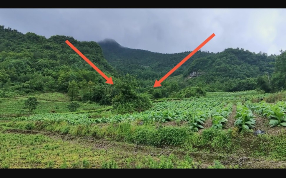 都说这户人家站了风水宝地 两个孙子都是地产老板 走近看很接地气哔哩哔哩bilibili