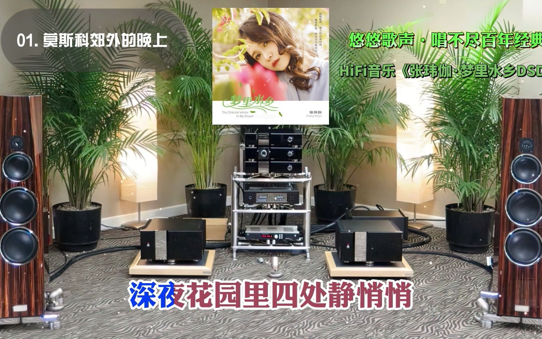 [图]HiFi音乐《张玮伽·梦里水乡DSD》悠悠歌声·唱不尽百年经典·MTV歌词·佩带耳机