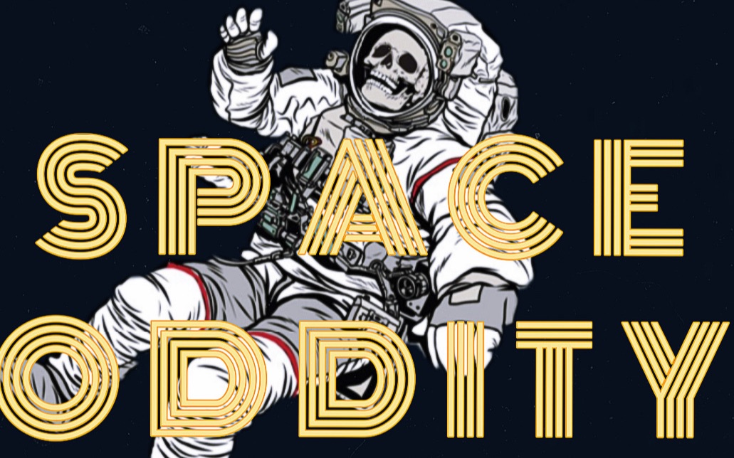 space oddity图片