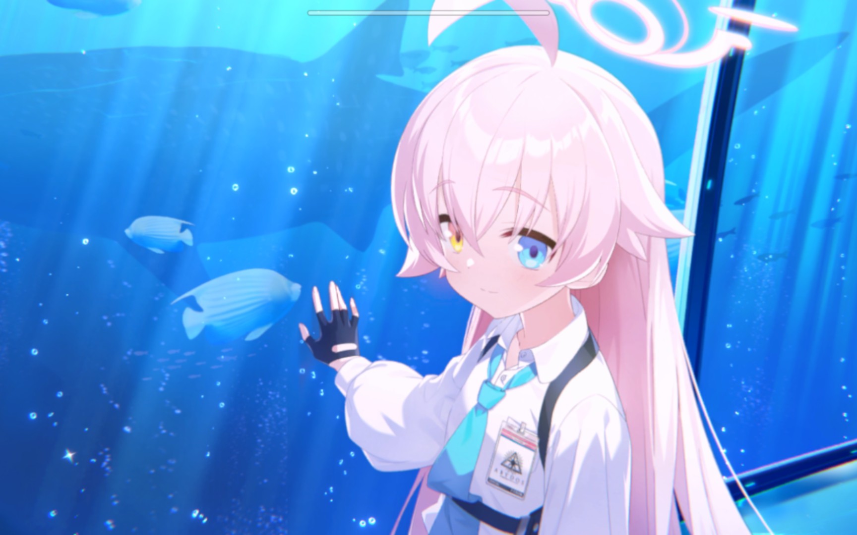 【碧蓝档案】小鸟游星野个人剧情1