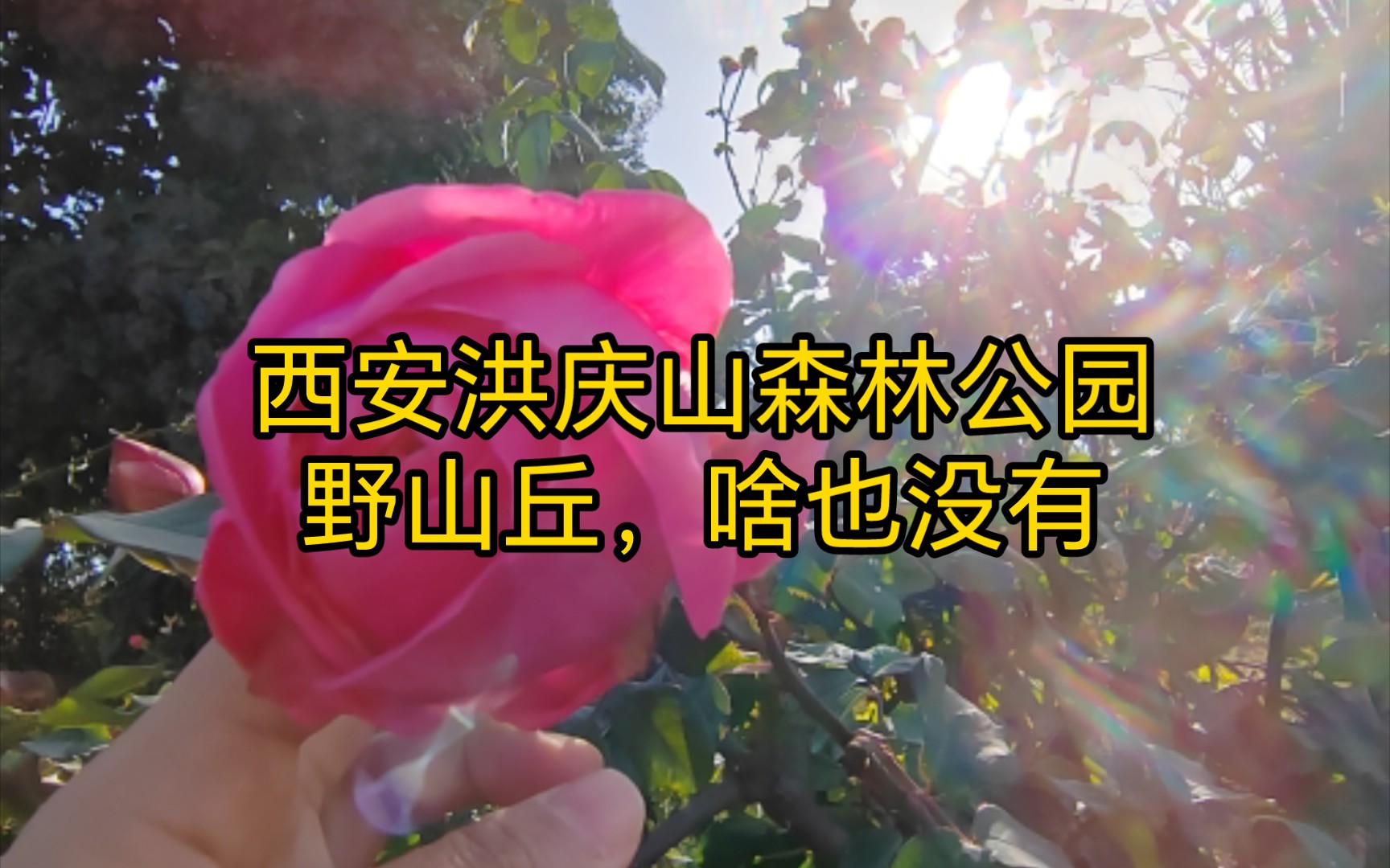 西安洪庆山:导航到洪庆山森林公园,结果啥也没有!