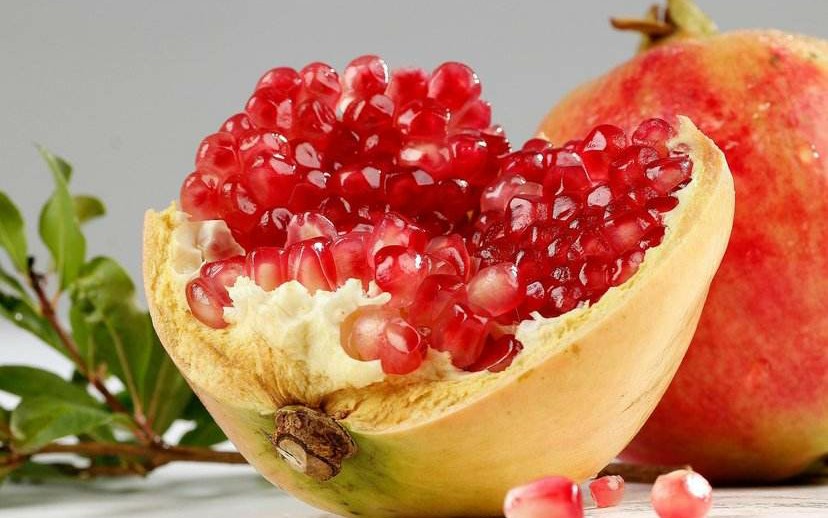 冷门植物测评:机枪石榴