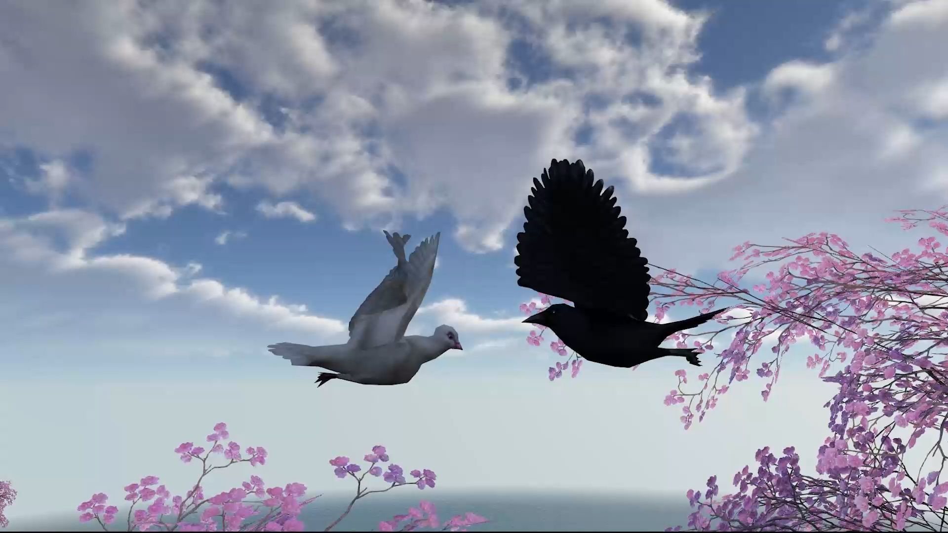 白鸽乌鸦相爱的戏码