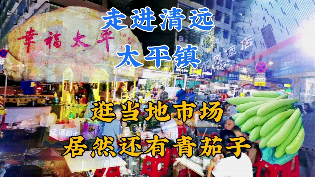 走进清远清新区工业镇太平镇.逛当地市场,看看当地物价什么水平哔哩哔哩bilibili