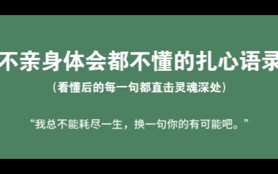 [图]【我总不能耗尽一生，换一句你的有可能吧】也许只有孤独的人才能看懂的