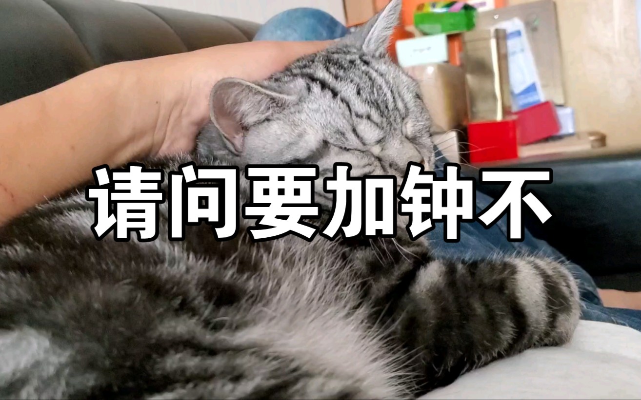 请问要加钟不(要不要换个位置按?还是要加钟啊?