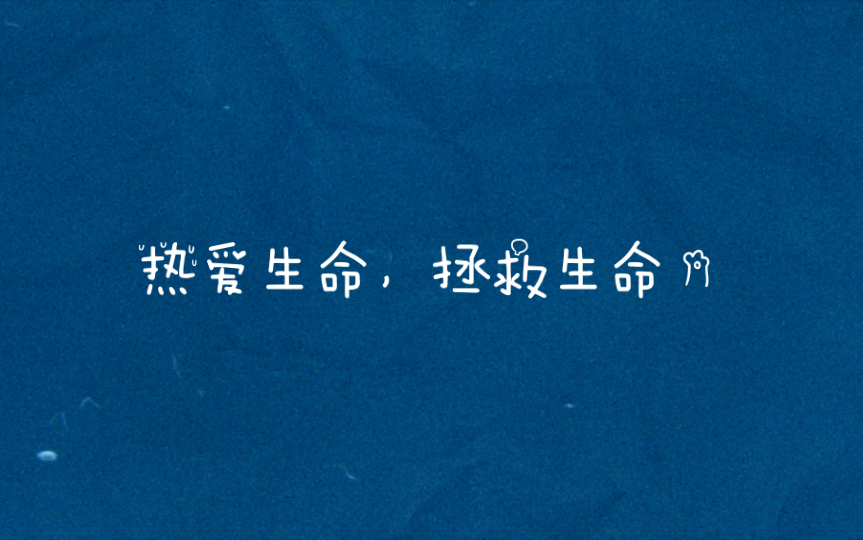 【推文】装死拯救不了世界哔哩哔哩bilibili