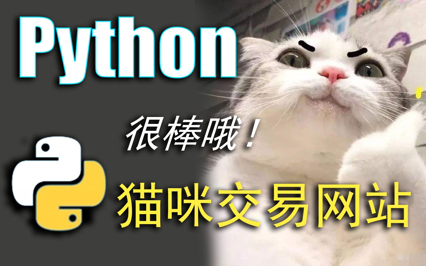 自己动手写代码实现做超级马里奥小游戏,python爬取猫咪交易网哔哩哔哩bilibili