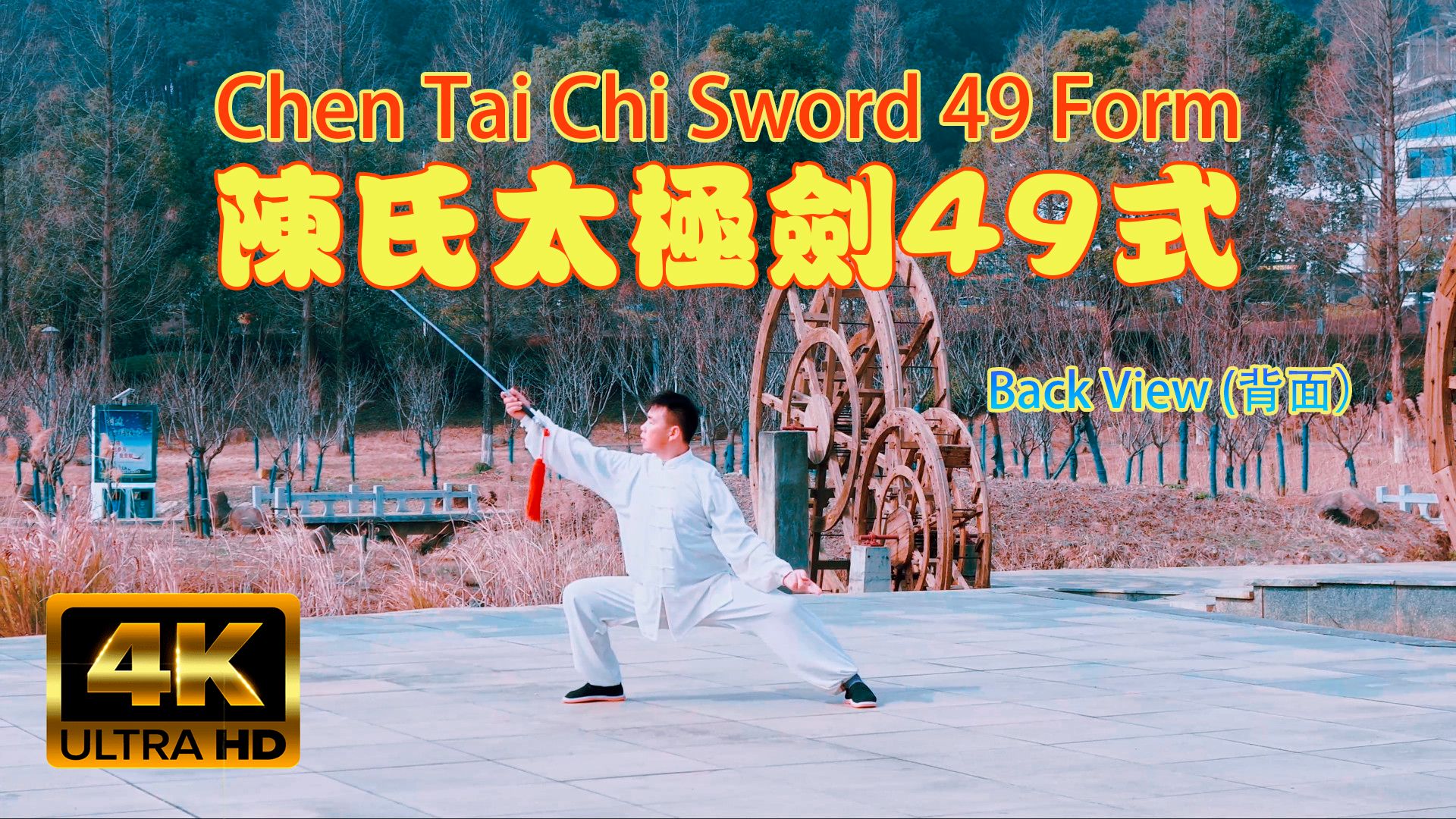 陈氏太极剑49式 (背面) Chen Tai Chi Sword 49 Form (Back View)哔哩哔哩bilibili