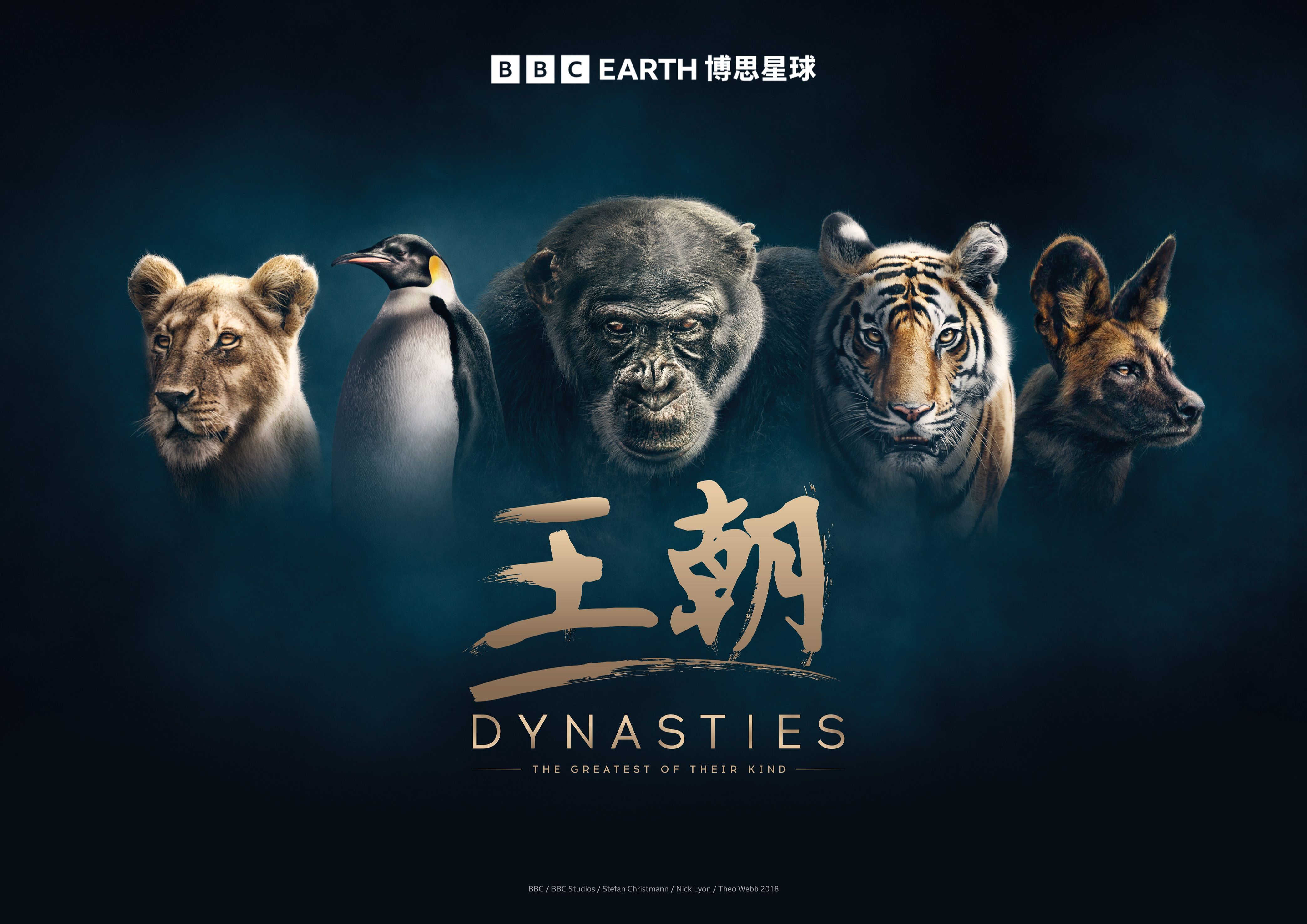 王朝第1集-纪录片-全集-高清正版在线观看-bilibili-哔哩哔哩