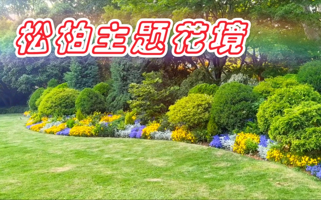 【杭州绿化带】高级!松柏主题花境!哔哩哔哩bilibili