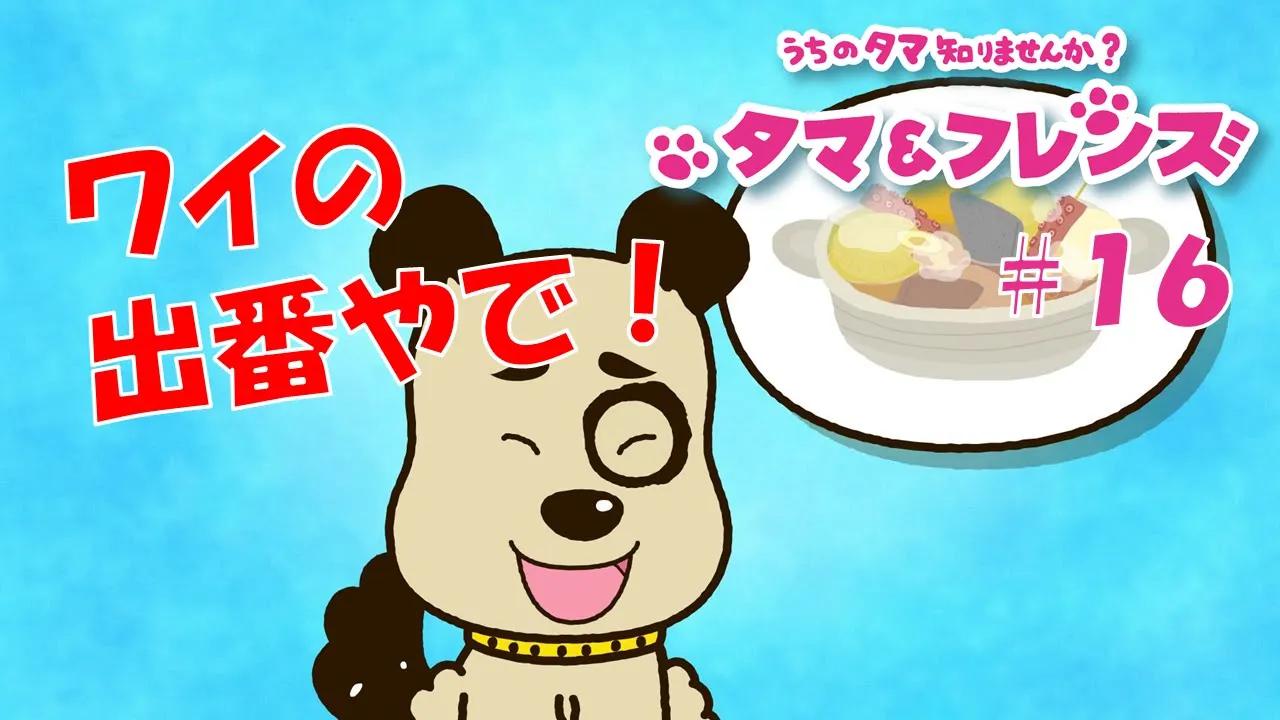 【生肉】tv动画《猫狗宠物街》第16话_哔哩哔哩 (゜-゜)つロ 干杯