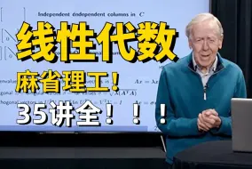 【麻省理工-线性代数精讲课】35集全讲，这真的是不花钱就能看的内容吗！MIT世界顶级学术课堂人工智能基础课。【人工智能|机器学习|深度学习|线性代数|微积分】