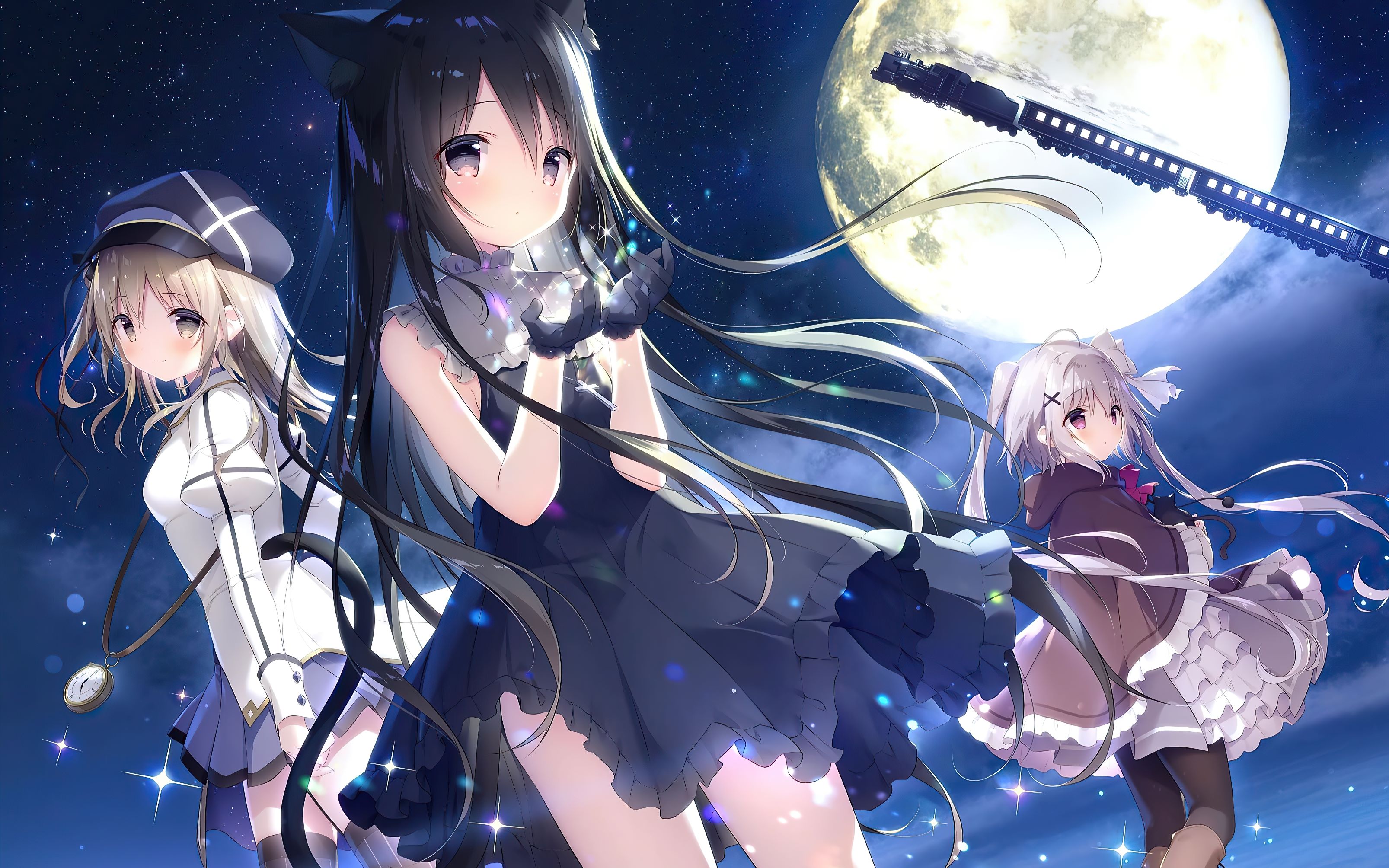 【4k 120fps】星空鉄道とシロの旅op