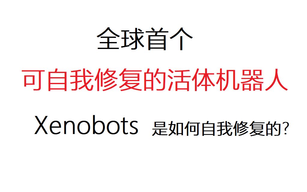 全球首个可自我修复活体机器人Xenobots的修复原理解析哔哩哔哩bilibili