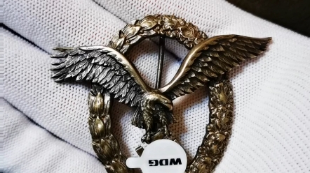 德国空军飞行员勋章