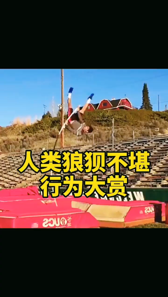 活动作品人类狼狈不堪行为大赏