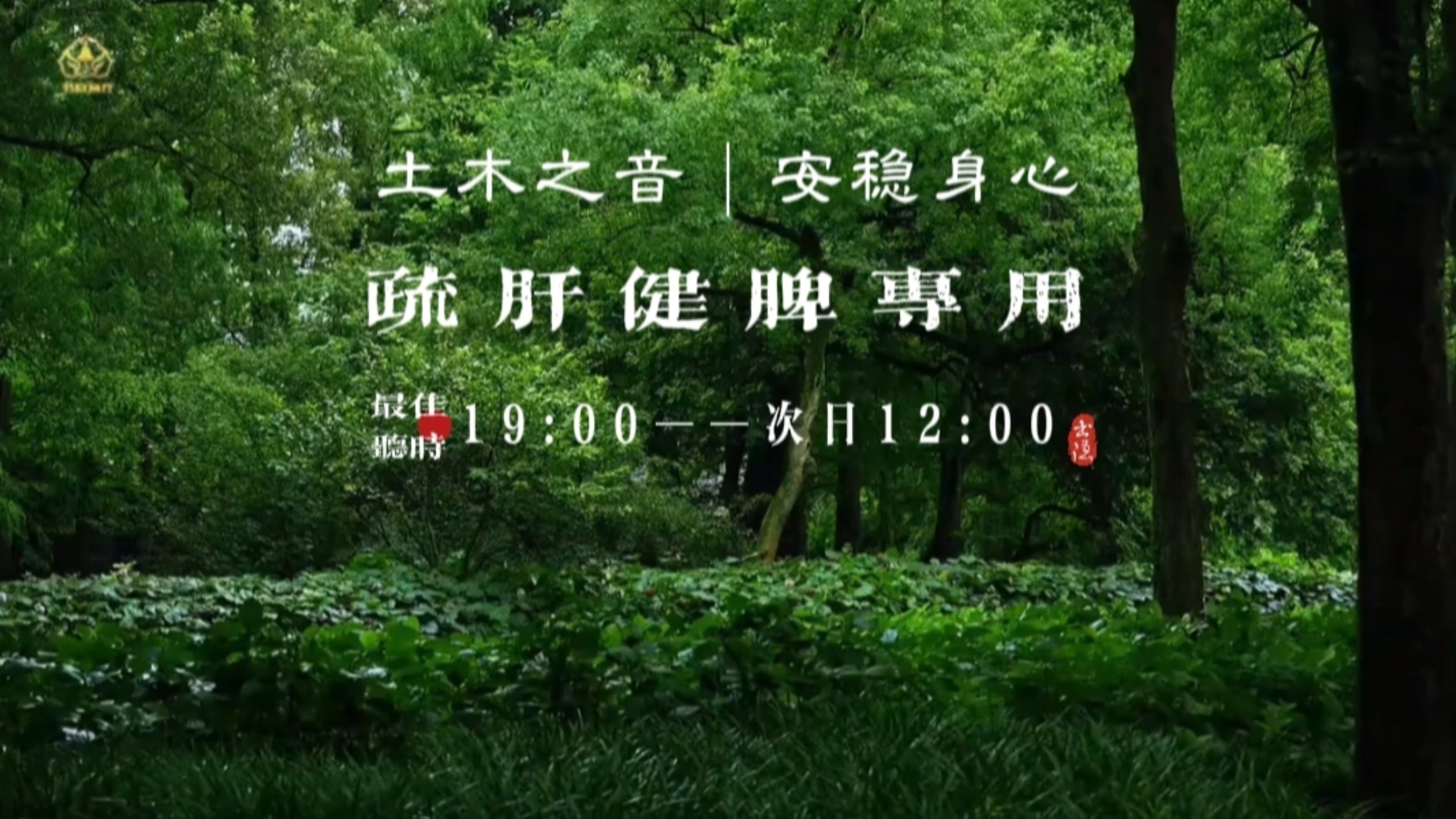 『五音疗疾』疏肝气养脾胃，安稳身心，缓解焦虑，助益睡眠，改善气色，身心不安，失眠多梦，湿气重乏力疲惫可多听用。