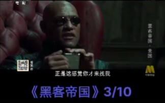 [图]《黑客帝国》上译公映配音版3 竖版