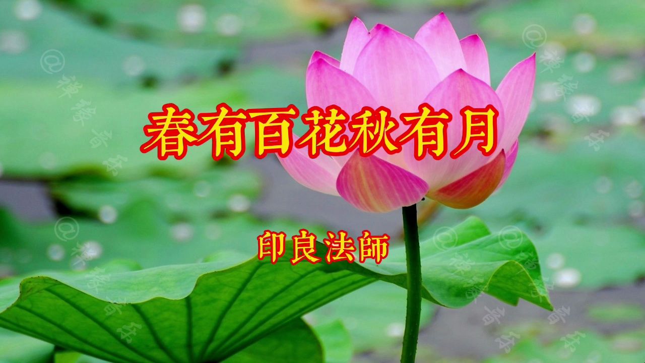 印良法师《春有百花秋有月》听着听着,心情就放松了哔哩哔哩bilibili