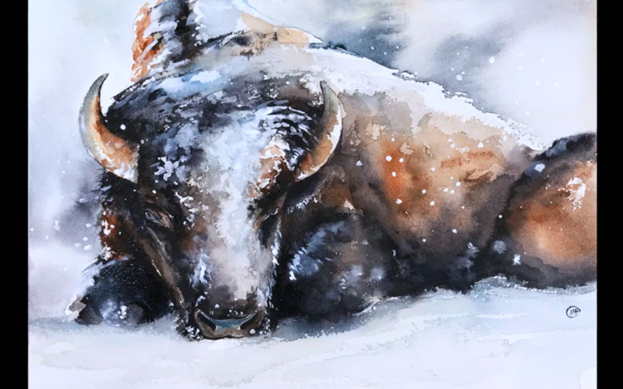 【水彩】水彩野牛在雪绘画教程【水彩】街边钢笔淡彩