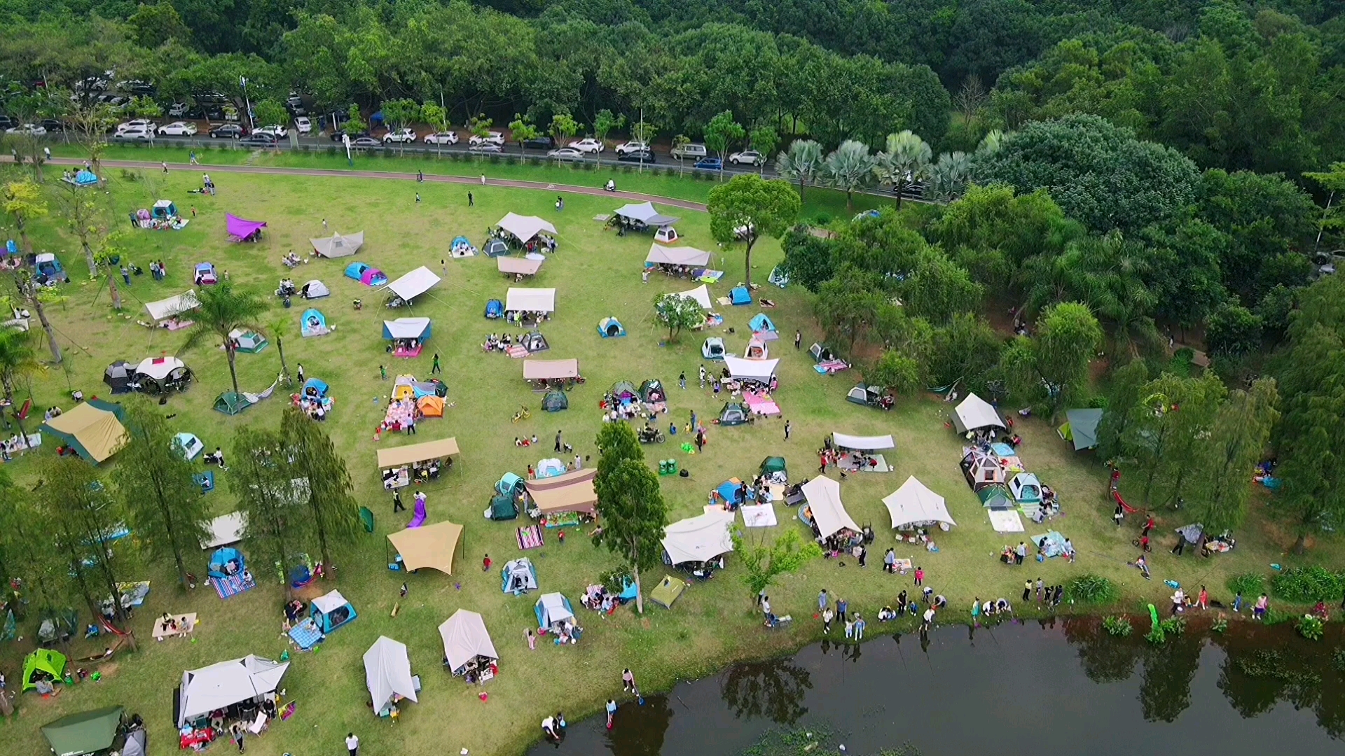 东莞周末野餐露营圣地,家庭亲子活动好去处同沙生公园哔哩哔哩bilibili