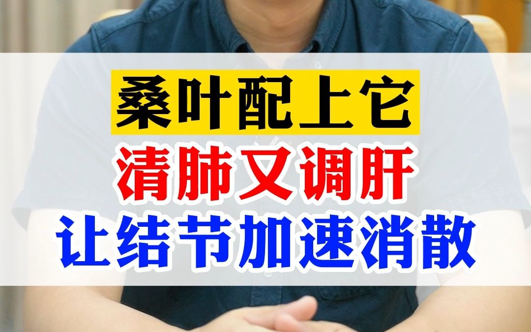 桑叶配上它,清肺又调肝,让结节加速消散哔哩哔哩bilibili