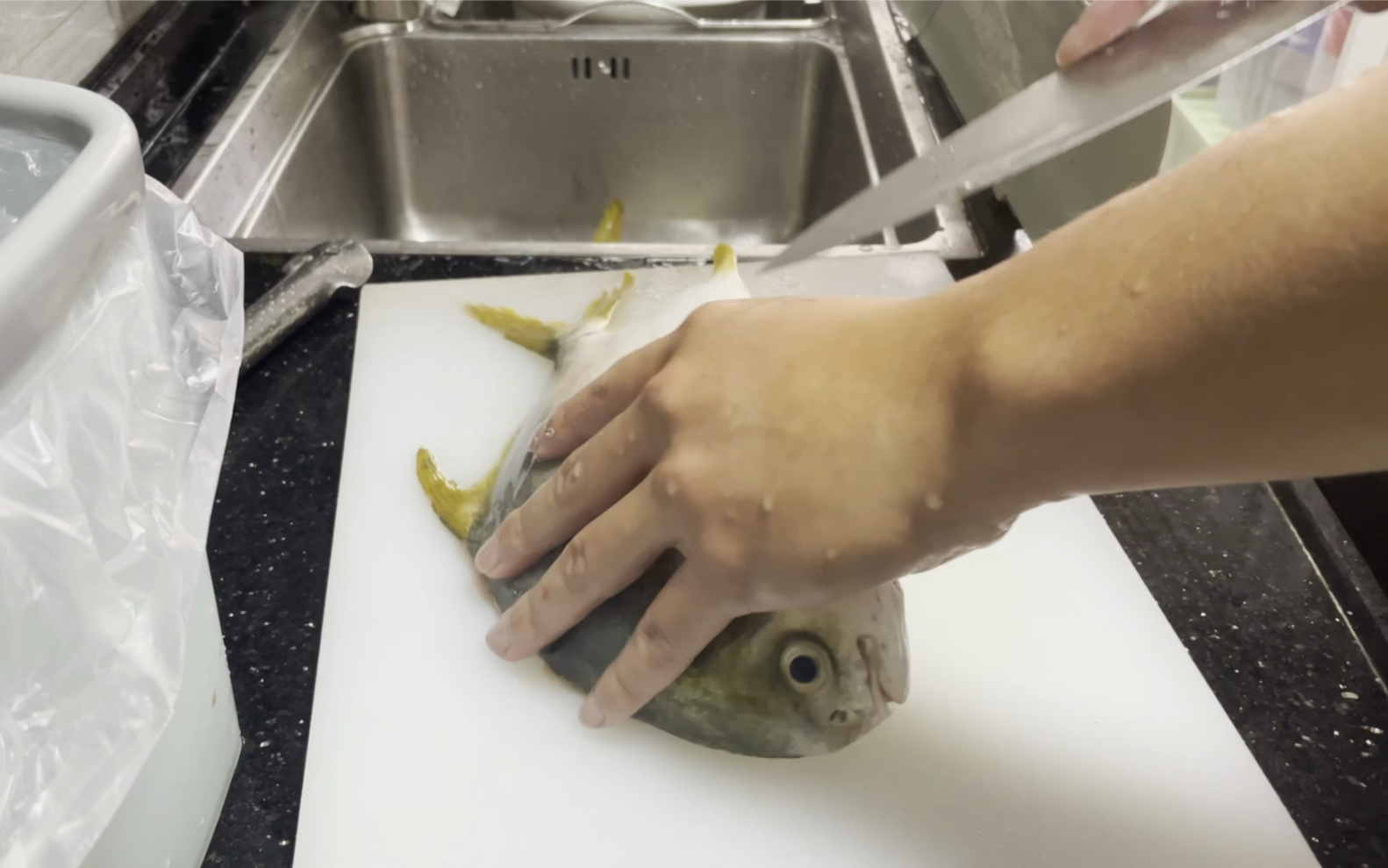 黄腊仓(金鲳)刺身_哔哩哔哩 (゜-゜)つロ 干杯~-bilibili