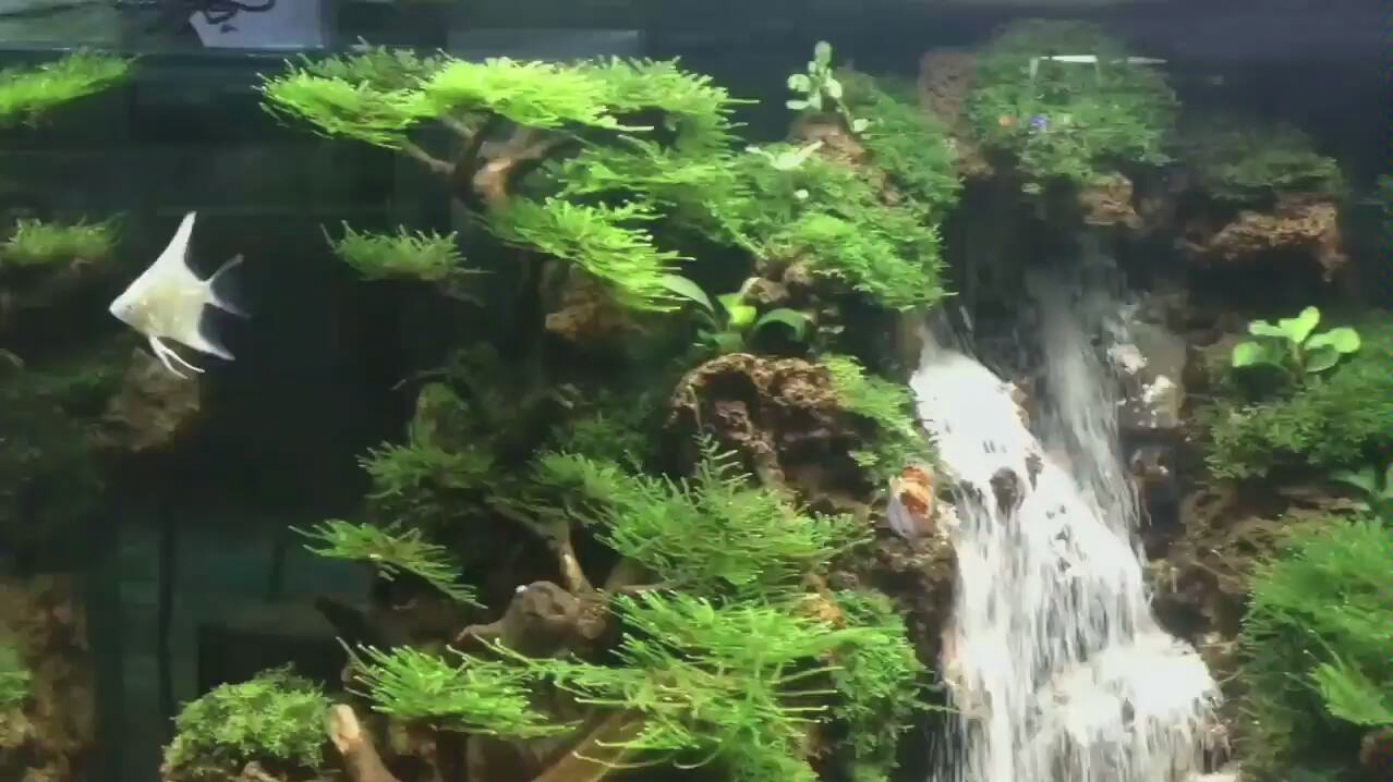 3款流沙瀑布造景案例视频第三个视频是我13年做的作品