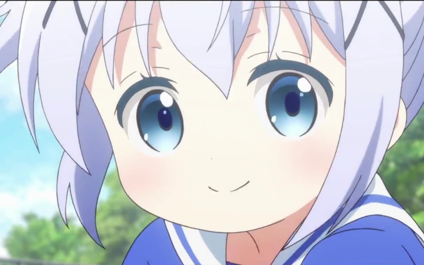 智乃酱香风智乃兔子