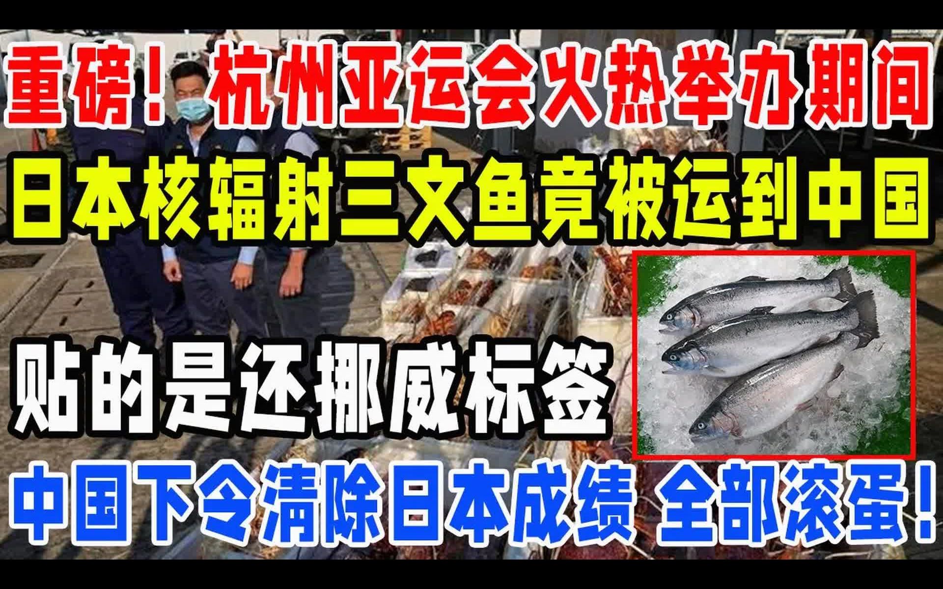 重磅,杭州亚运会火热举办期间,日本核辐射三文鱼竟被运到中国,贴的是挪威标签哔哩哔哩bilibili