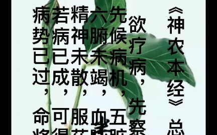 [图]《神农本草经》总纲（下）