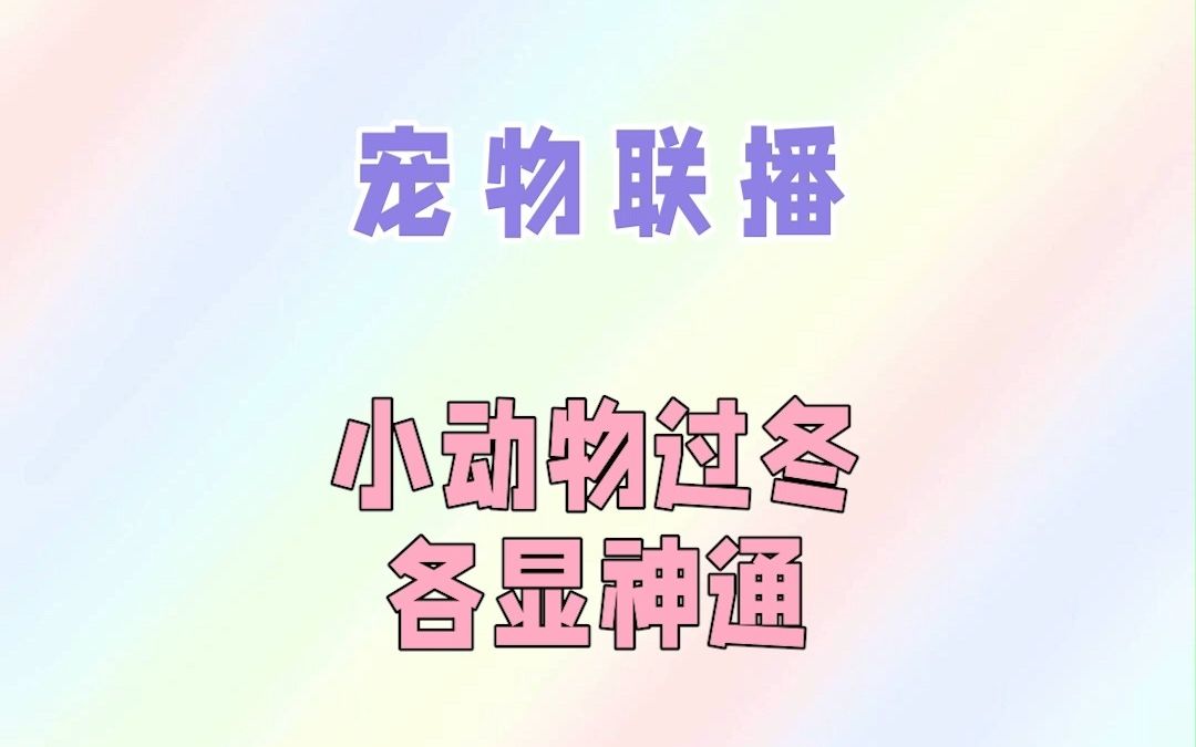 [图]小动物过冬，各显神通