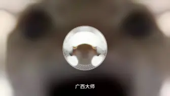 Tải video: 《鼠鼠战歌》《水渠王の小曲》广西大师-东海帝王