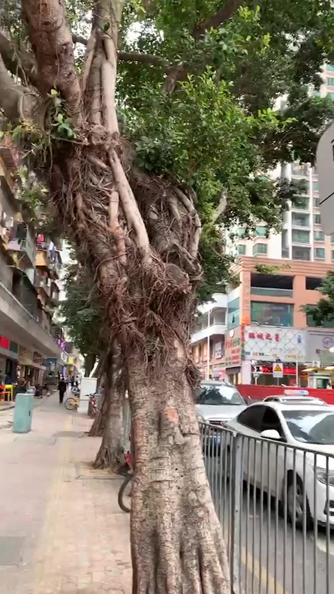 深圳晒布路无布晒