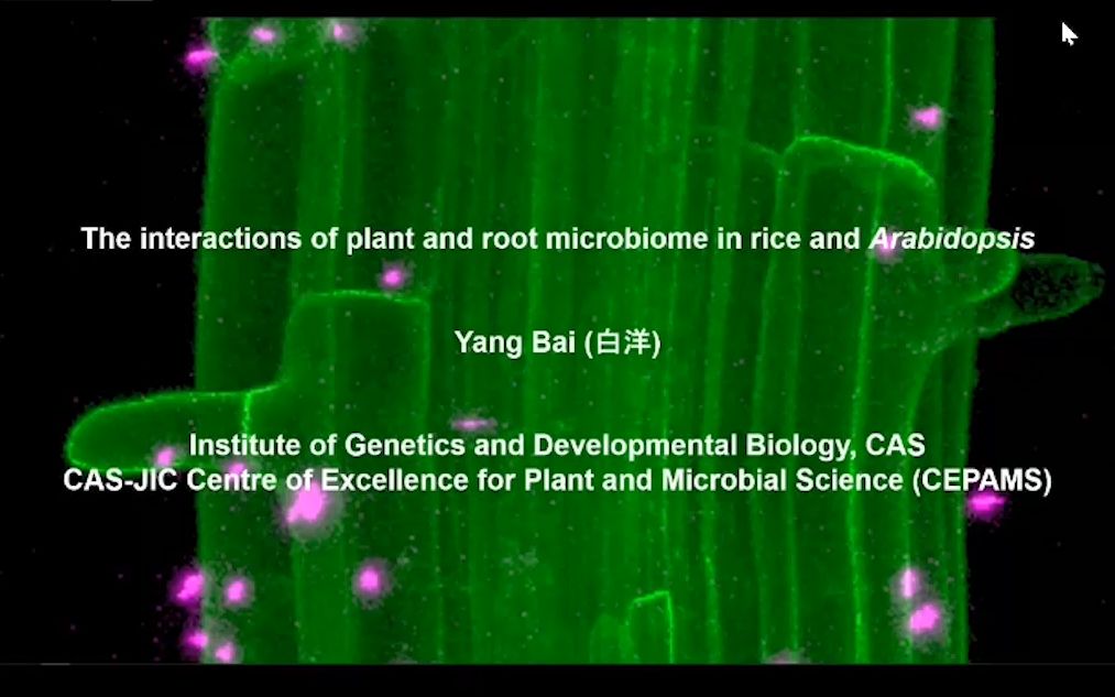 2020年JIPB整合植物生物学学术研讨会白洋 :The interactions between plants and root microbiota in哔哩哔哩bilibili