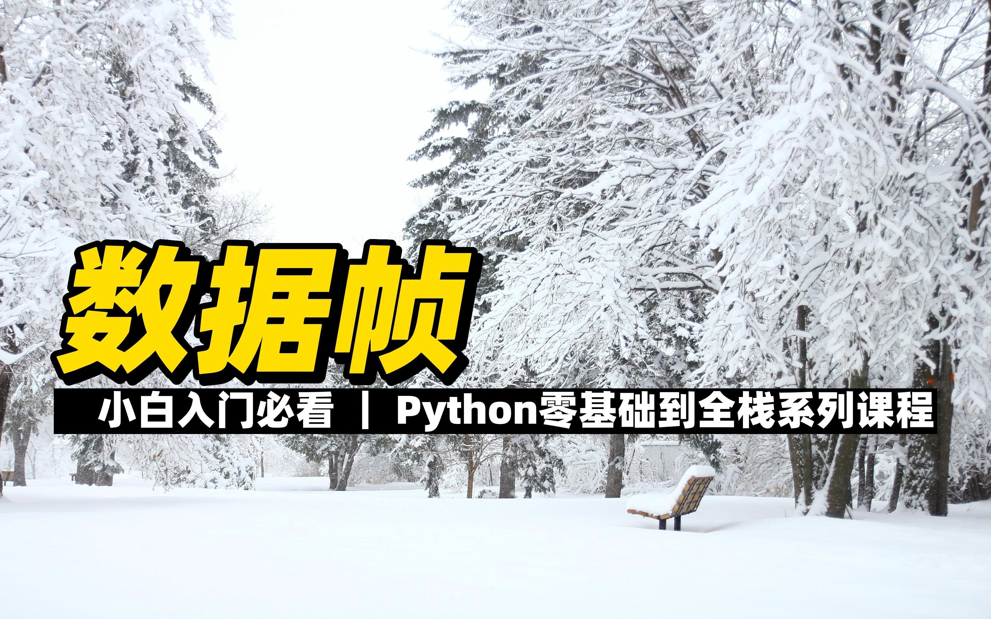 数据帧  《Python零基础到全栈系列》哔哩哔哩bilibili