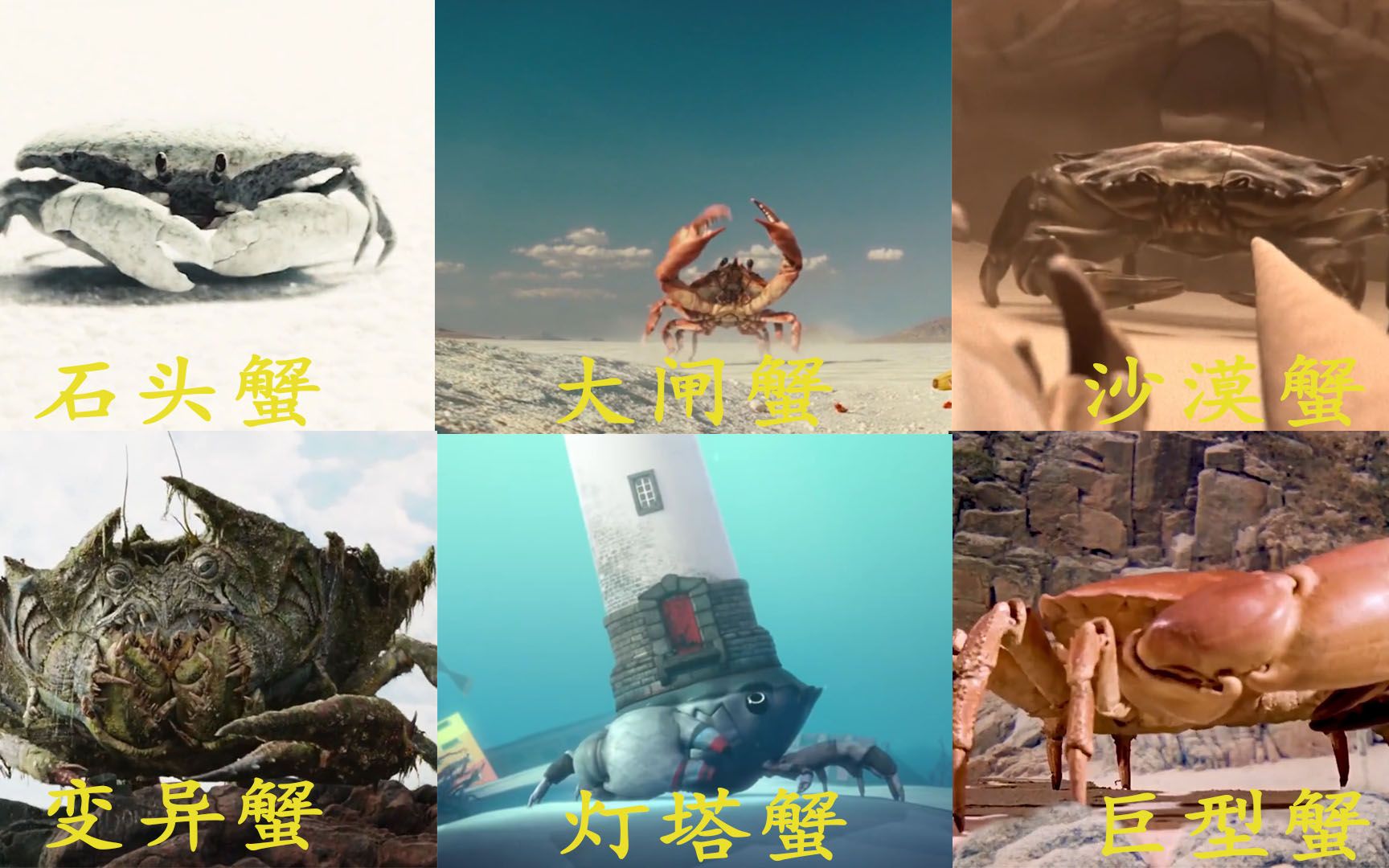 盘点电影中的奇葩螃蟹,你觉得哪个更奇葩?灯塔蟹背上有座城市