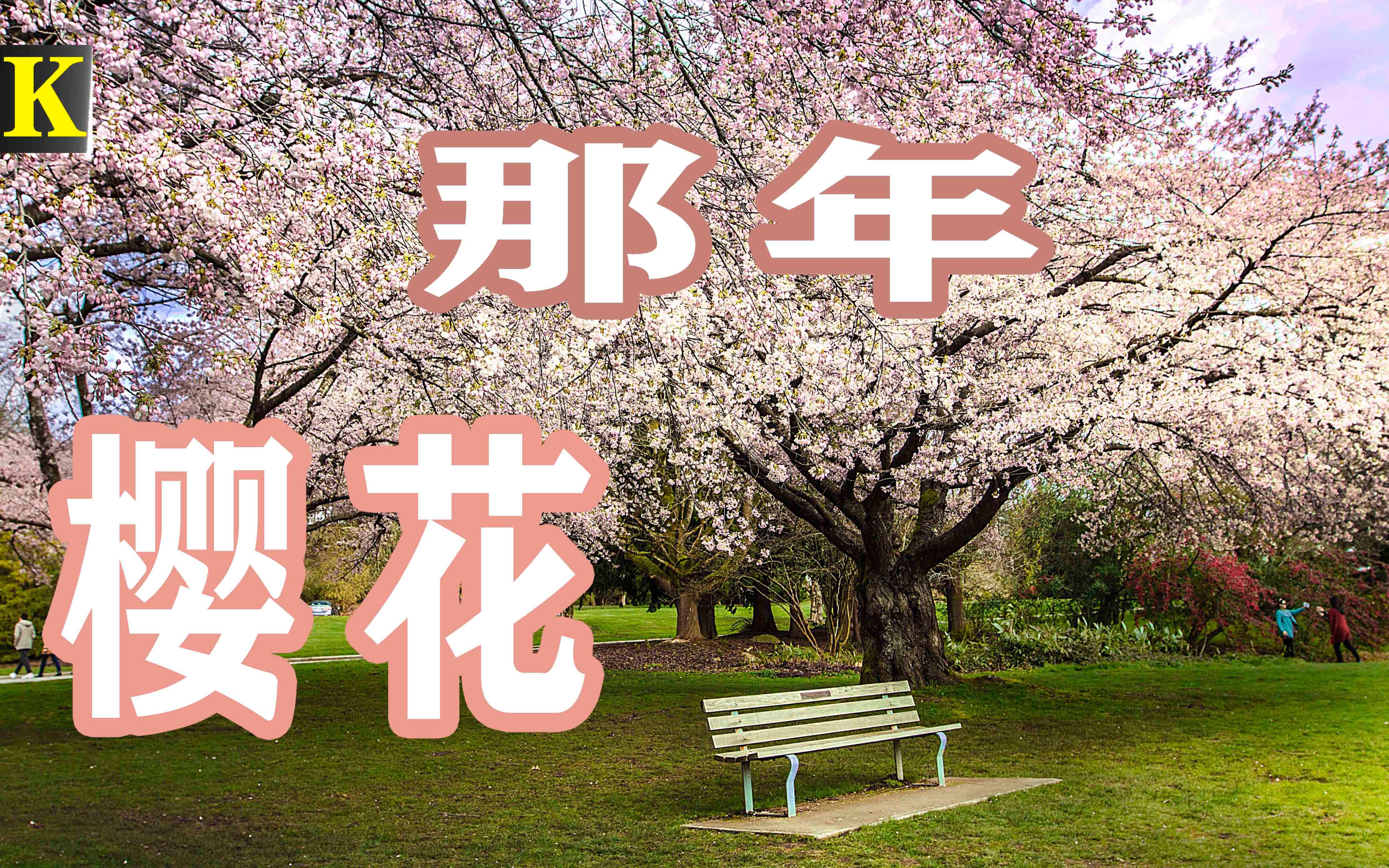 [图]温哥华的樱花不输日本！Top 10 Cherry Blossom Spots in Vancouver BC