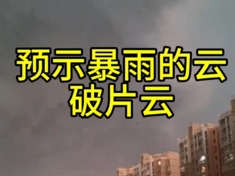 夏日观云小技巧,预示着暴雨的云破片云#强对流#观云#破片云#暴雨#天气预报哔哩哔哩bilibili