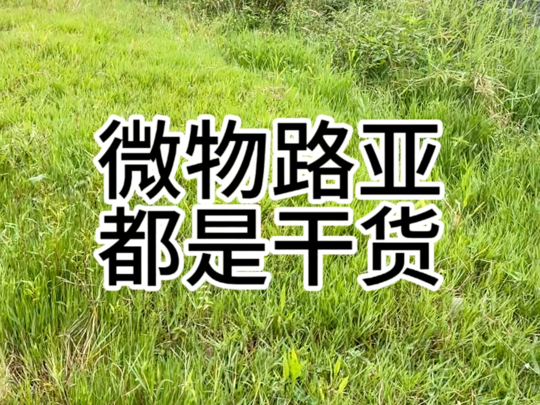 微物路亚我个人链接助投器的方式和钓鱼的小技巧 新手朋友们可以做个简单的参考 有更好的方法也可以交流讨论哔哩哔哩bilibili