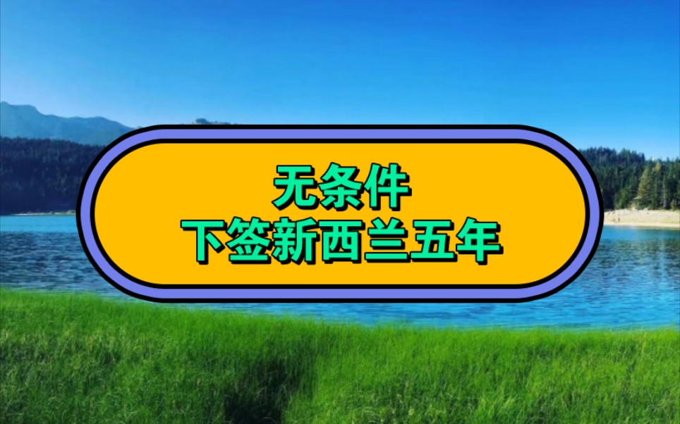 没想到的条件也下签了新西兰五年多次签证哔哩哔哩bilibili