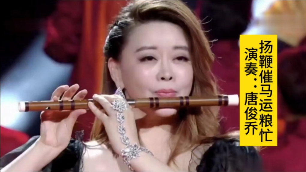 唐俊乔笛子独奏《扬鞭催马运粮忙》,经典的旋律,火红的年代