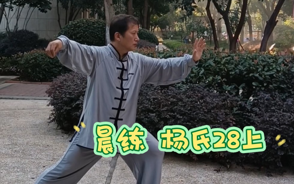 晨练 杨氏28式太极拳 上