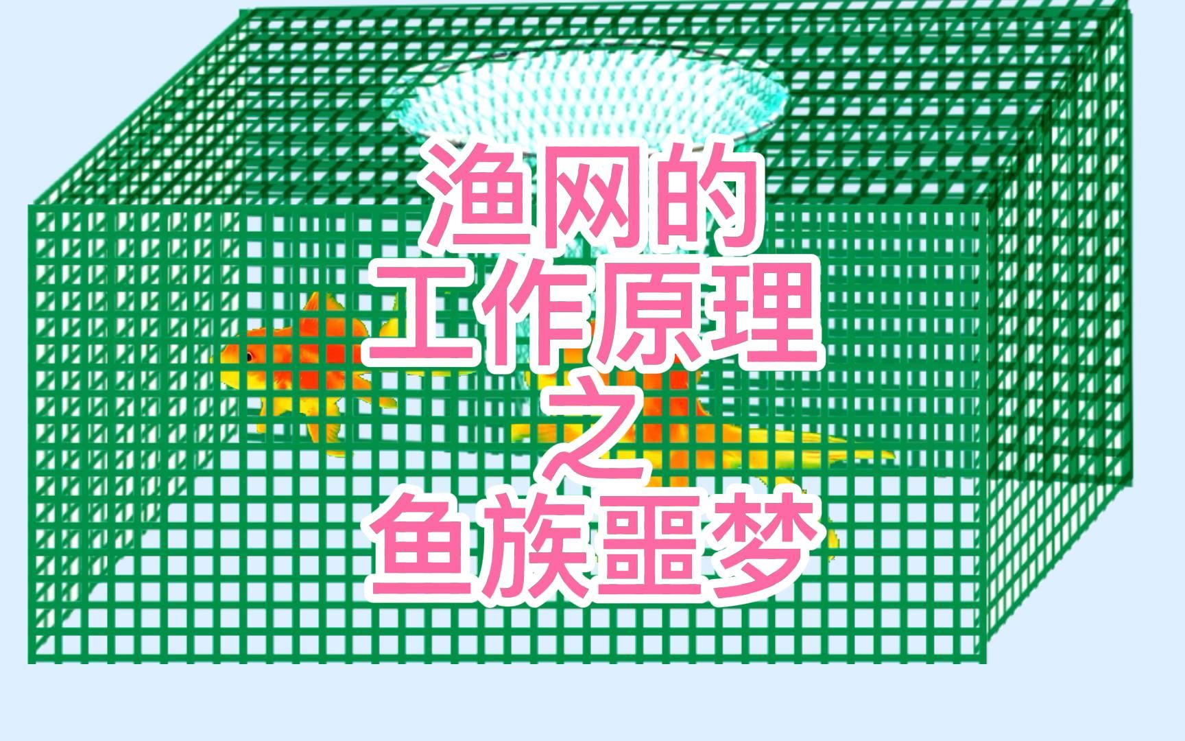 什么是绝户网,渔网的工作原理和结构是什么?为什么鱼逃不出去呢?地笼被禁用是有道理的.太可怕哔哩哔哩bilibili