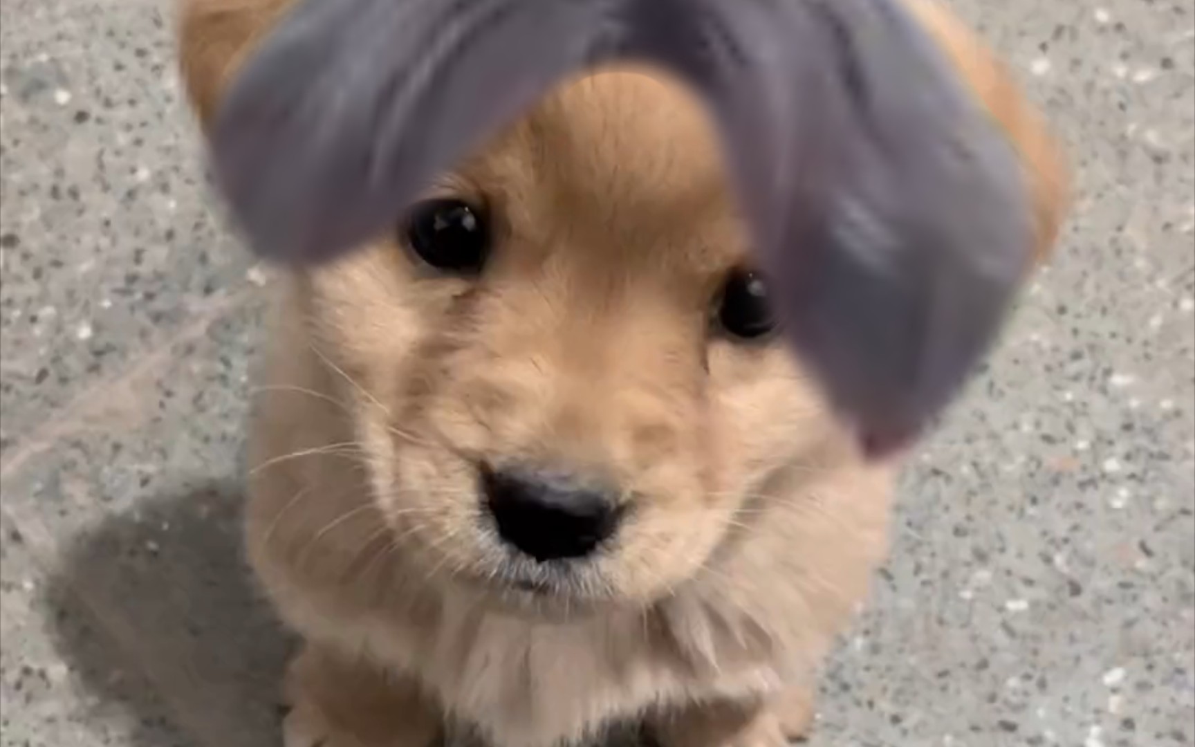 这就是混子的实力!