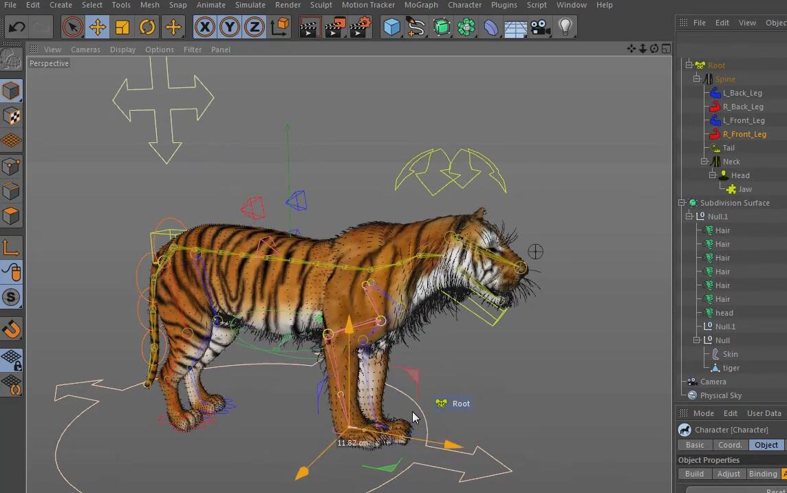 【C4D全流程制作老虎模型 建模 毛发 权重教程】【C4D教程】【C4D绑定教程】【C4D权重教程】【无字幕】【GSan分享】哔哩哔哩bilibili