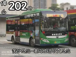 Download Video: 【晚高峰繁忙的广佛】佛山202路 黄沙总站-南海旅游公交总站