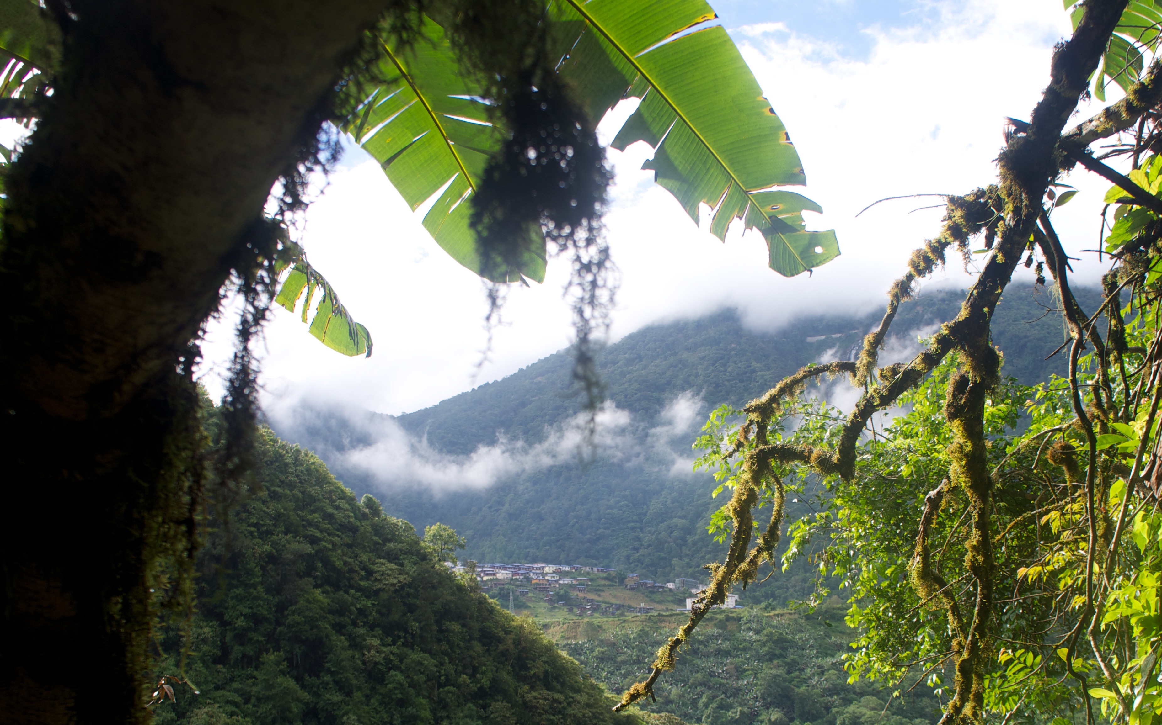 徒步墨脱第四集 拉格,汗密,背崩_哔哩哔哩_bilibili