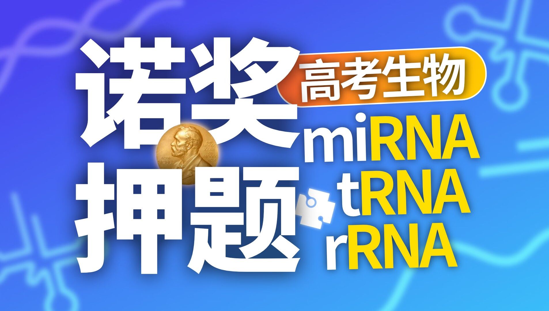 【高中生物必备拓展】诺奖押题:microRNA、tRNA、rRNA的生产与功能高中生物必修一哔哩哔哩bilibili